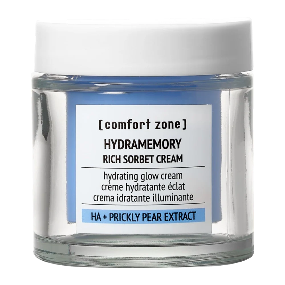 Hydramemory Rich Sorbet Cream